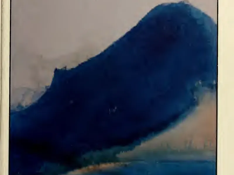 Summit 1977